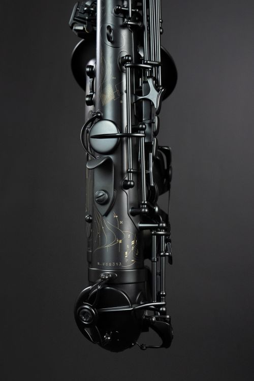 Alt-Saxophon-Selmer-Supreme-2025-LIMITED-EDITION-s_0007.jpg