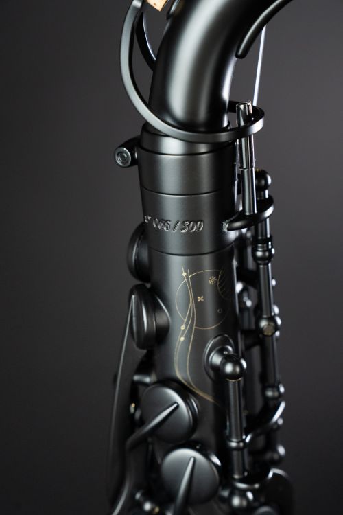 Alt-Saxophon-Selmer-Supreme-2025-LIMITED-EDITION-s_0018.jpg