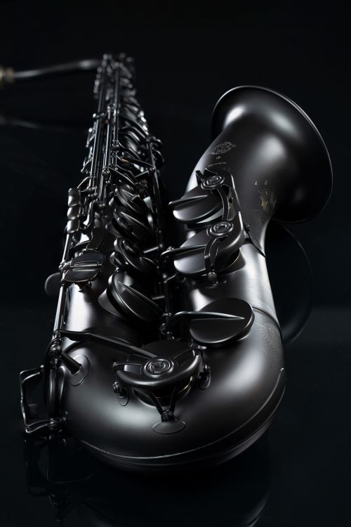 Tenor-Saxophon-Selmer-Supreme-2025-LIMITED-EDITION_0004.jpg