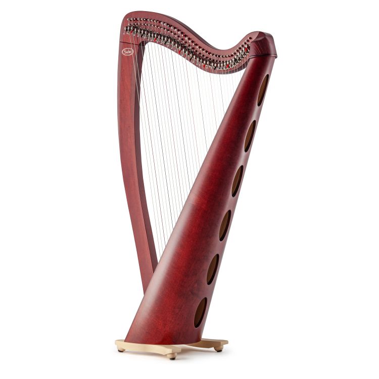 Klappenharfe-Salvi-Modell-T2-mahogany-_0002.jpg