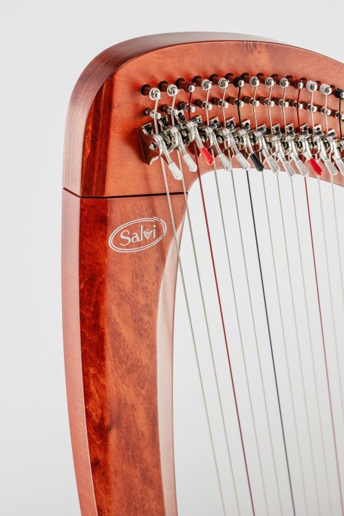 Klappenharfe-Salvi-Modell-T2-mahogany-_0004.jpg
