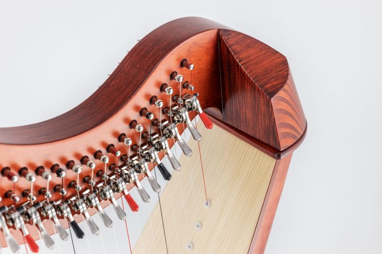 Klappenharfe-Salvi-Modell-T2-mahogany-_0005.jpg