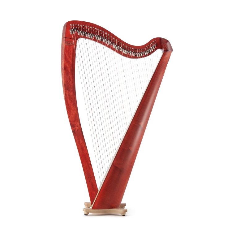 Klappenharfe-Salvi-Modell-T2-cherry-wood-_0003.jpg