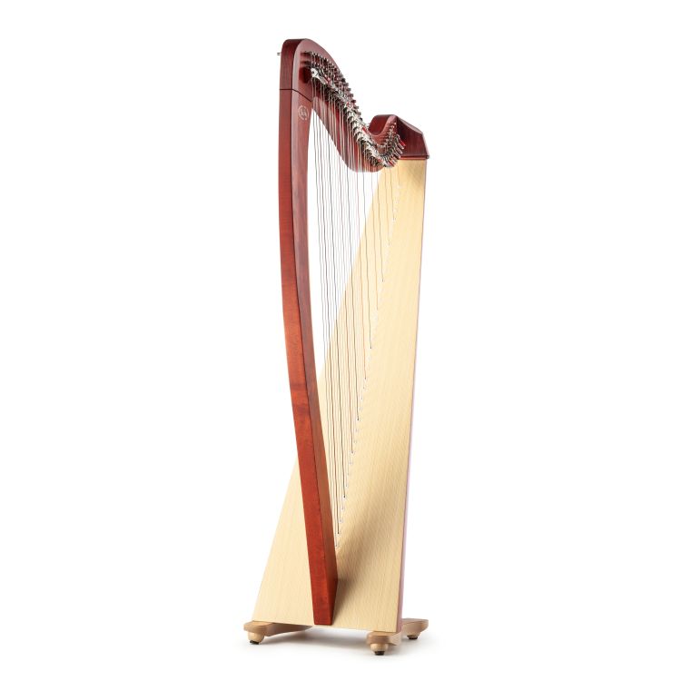Klappenharfe-Salvi-Modell-T2-cherry-wood-_0004.jpg