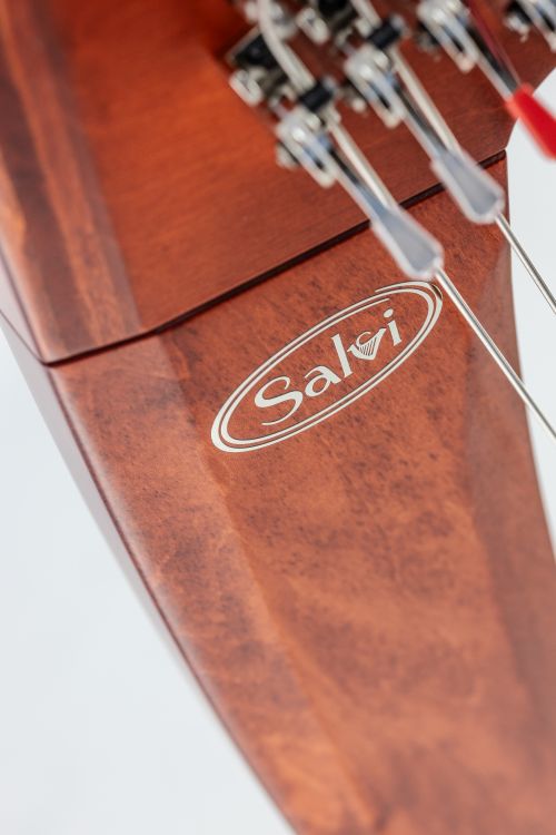 Klappenharfe-Salvi-Modell-T2-cherry-wood-_0005.jpg