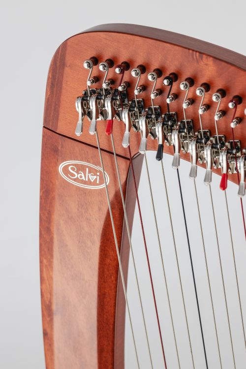 Klappenharfe-Salvi-Modell-T2-cherry-wood-_0009.jpg