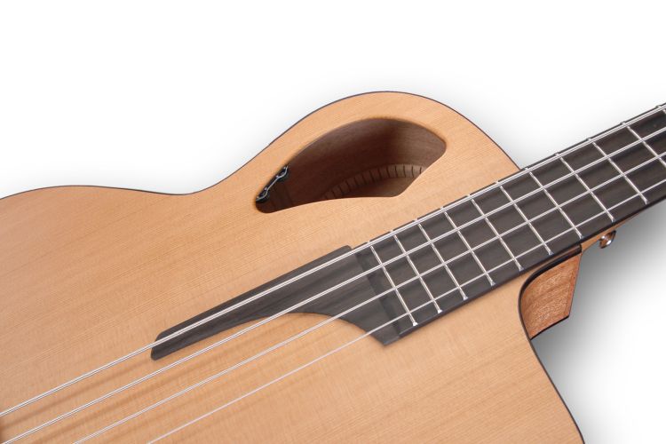 Akustikbass-Furch-Modell-Bc-61-CM4-EAS-VTC-natural_0006.jpg