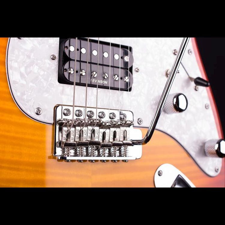 E-Gitarre-Blade-Modell-Texas-Deluxe-TE-2-honey-bur_0002.jpg
