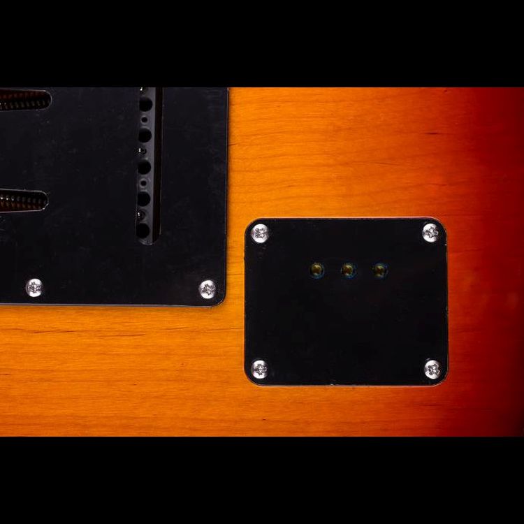 E-Gitarre-Blade-Modell-Texas-Deluxe-TE-2-honey-bur_0004.jpg