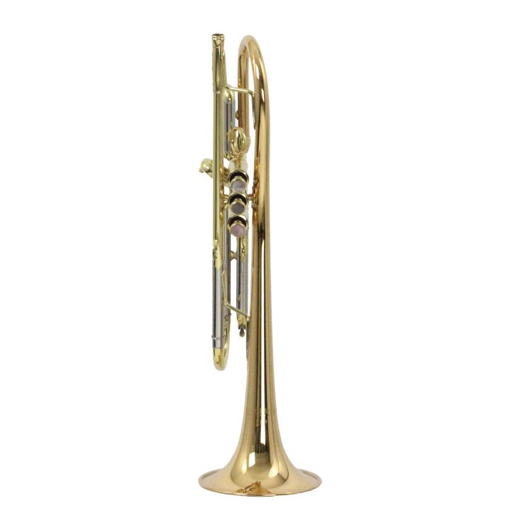 B-Trompete-Carol-Brass-Up-lackiert-gold-_0002.jpg