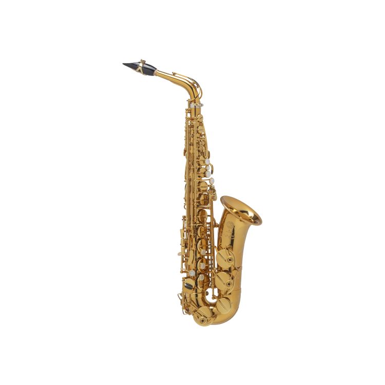 Alt-Saxophon-Selmer-Supreme-lackiert-gold-_0002.jpg