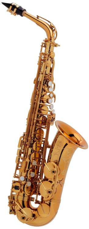 Alt-Saxophon-Selmer-Reference-lackiert-gold-_0004.jpg