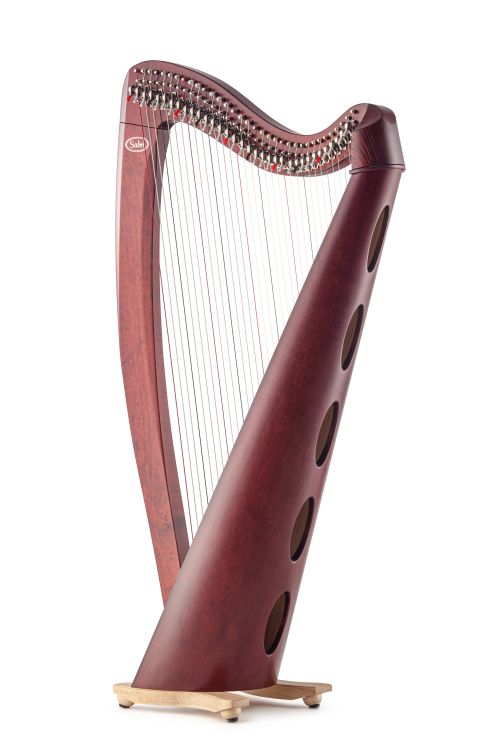 Klappenharfe-Salvi-Modell-M2-mahogany-_0002.jpg
