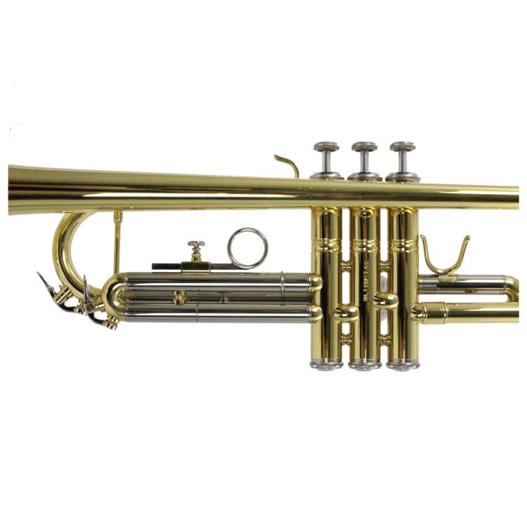 B-Trompete-Carol-Brass-Basic-lackiert-gold-_0007.jpg