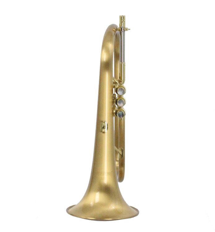 Fluegelhorn-Carol-Brass-Gold-satiniert-gold-_0002.jpg