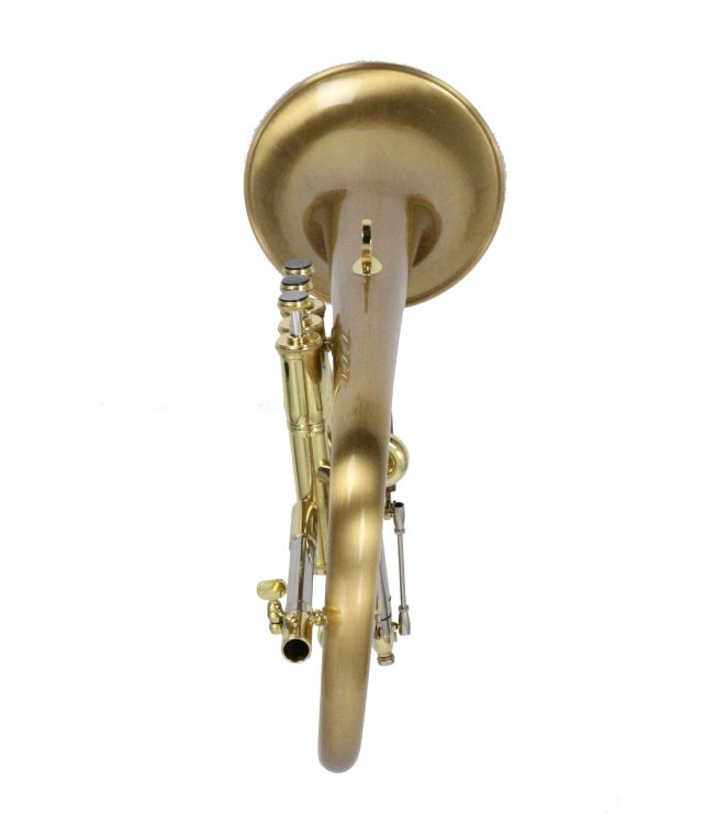 Fluegelhorn-Carol-Brass-Gold-satiniert-gold-_0005.jpg