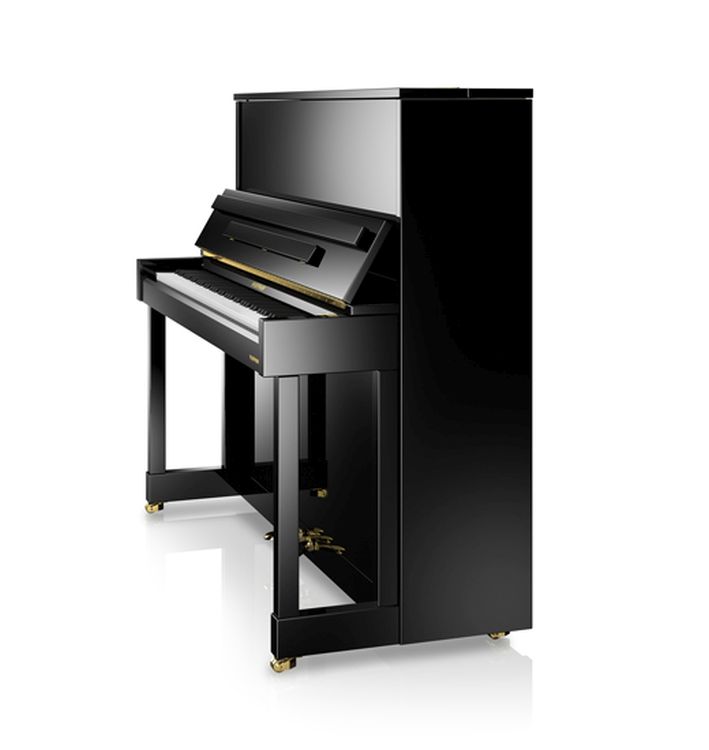 Klavier-W-Hoffmann-Modell-Vision-V-8-schwarz-polie_0002.jpg
