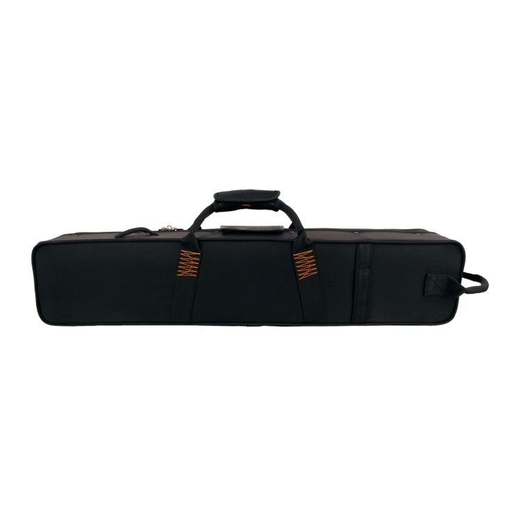 Koffer-Sopran-Saxophon-ProTec-PB-310BP-gerade-Ruck_0003.jpg