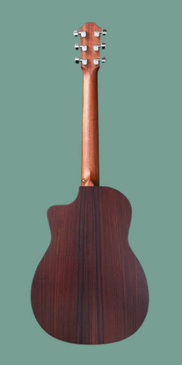 Westerngitarre-Furch-Modell-Pioneer-ER-natural-_0002.jpg