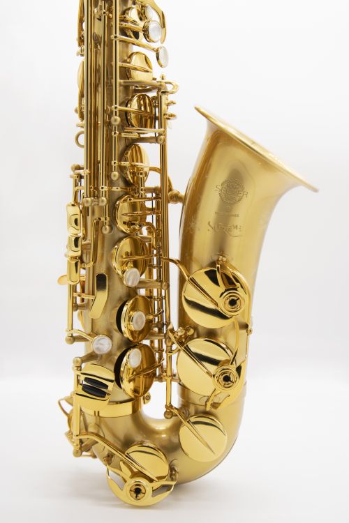 Alt-Saxophon-Selmer-Supreme-satiniert-gold-_0003.jpg